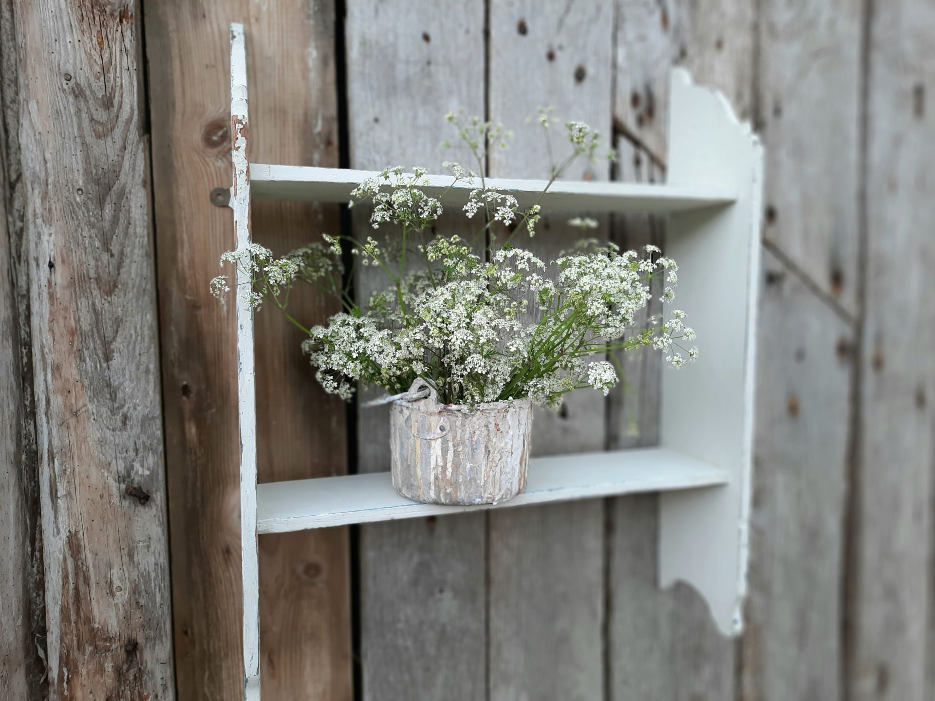 Rustic White Wooden Shelves for Sale Shelves And Bookcases Trunk