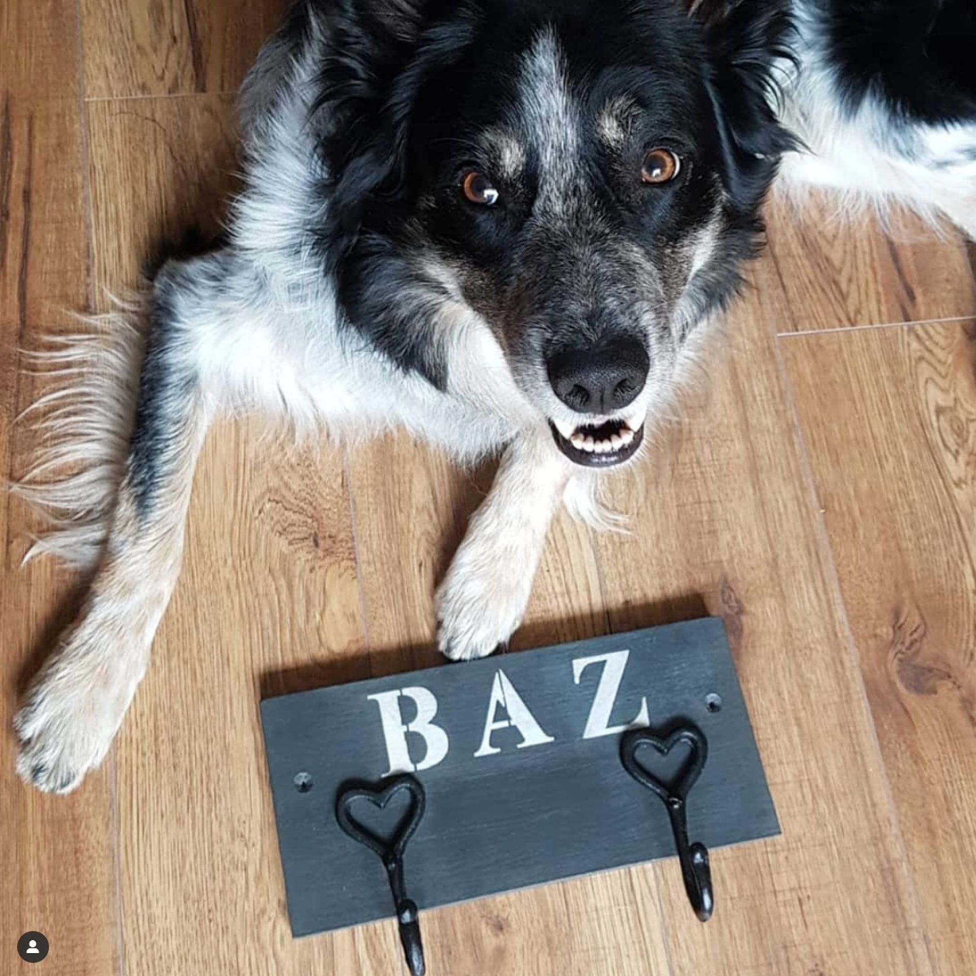 Personalised dog hooks sales
