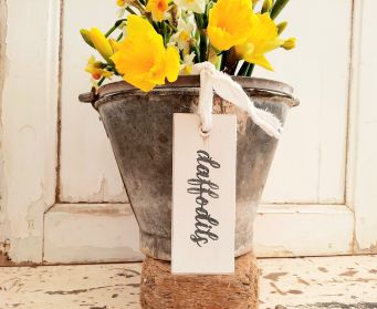 Painted Daffodil Hanging Tag