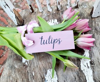 Painted Tulips Hanging Tag