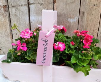 Henrietta Pink 