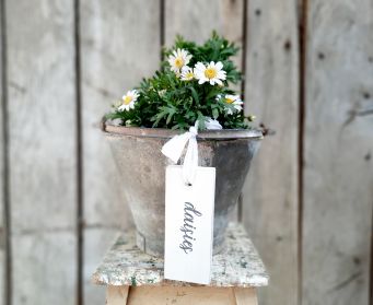 Painted Hanging Daisies Tag