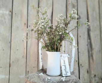 Painted Hanging Cow Parsley Tag