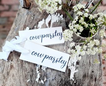 Painted Hanging Cow Parsley Tag