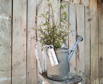 Painted Hanging Cow Parsley Tag