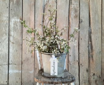 Painted Hanging Cow Parsley Tag