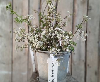 Painted Hanging Cow Parsley Tag