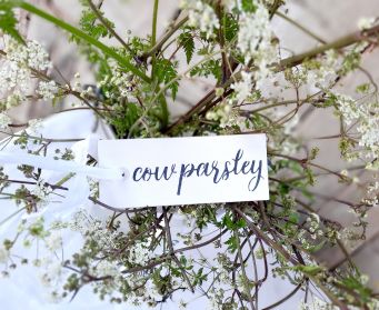 Painted Hanging Cow Parsley Tag