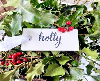 Painted Hanging Holly Festive Tag