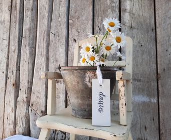 Painted Hanging Daisies Tag