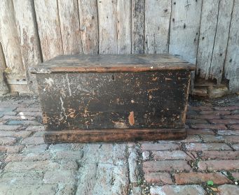 Rustic Trunk