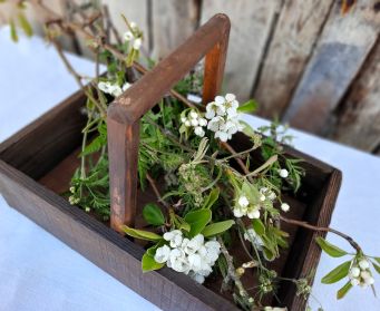 Handmade Wooden Trug