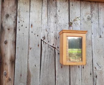 Painted Wooden Mirrored Cupboard