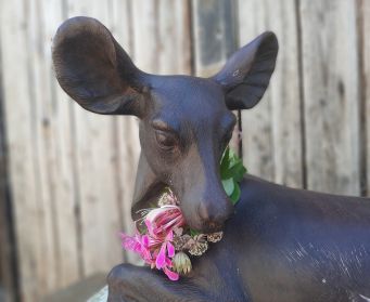 Resin Deer