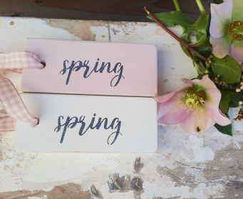 Hanging Painted Spring Tag