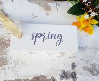 Hanging Painted Spring Tag