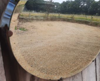 Beautiful Bevelled Mirror With Floral Details