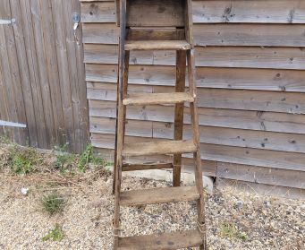 Rustic Ladder