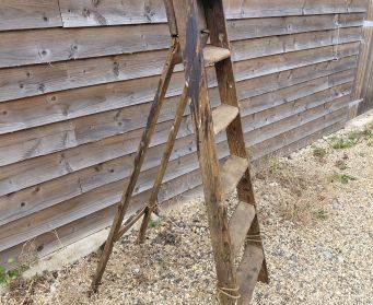 Rustic Ladder