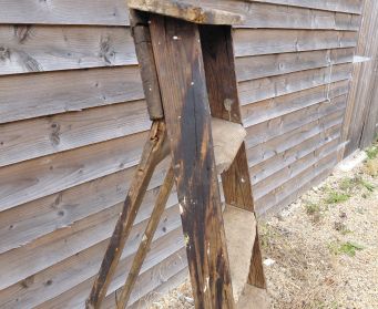 Rustic Ladder