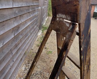 Rustic Ladder