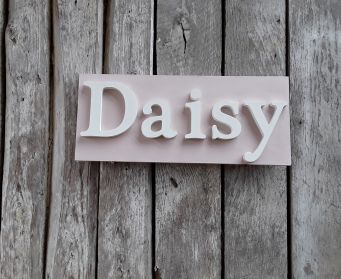 Daisy Painted Sign