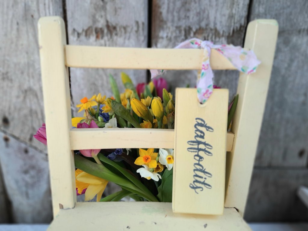 Painted Daffodil Hanging Tag