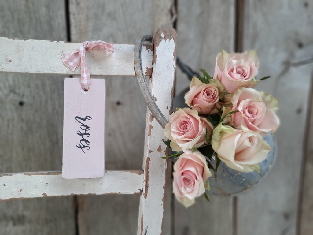 Painted Roses Hanging Tag