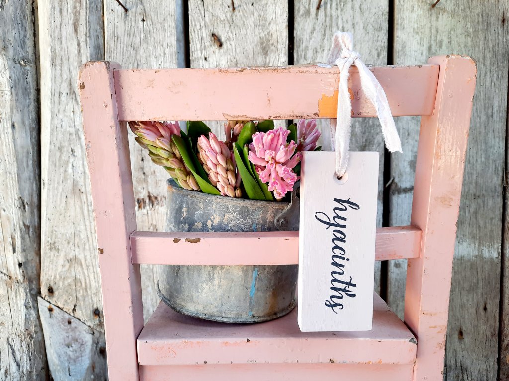 Painted Hyacinths Hanging Tag