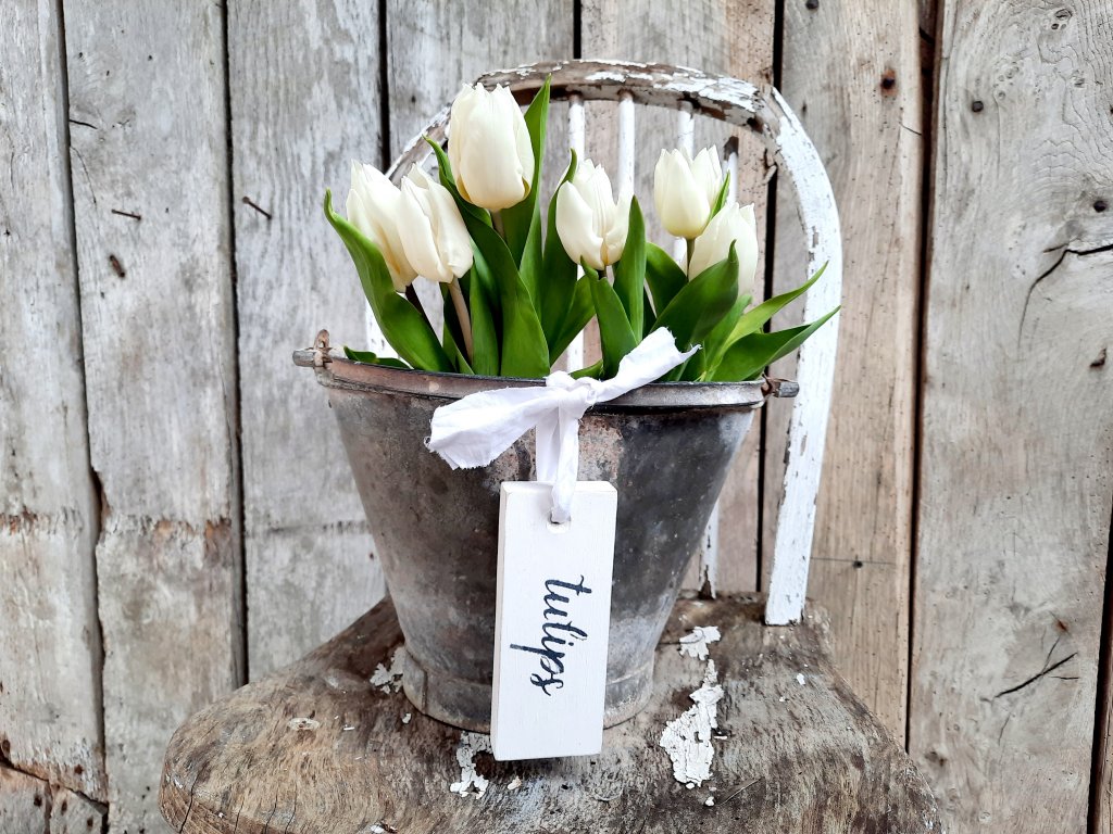 Painted Tulips Hanging Tag