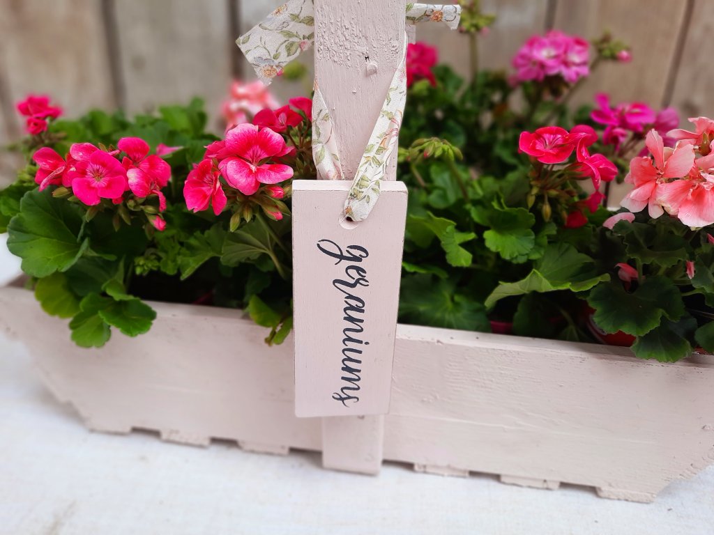 Painted Hanging Geraniums Tag