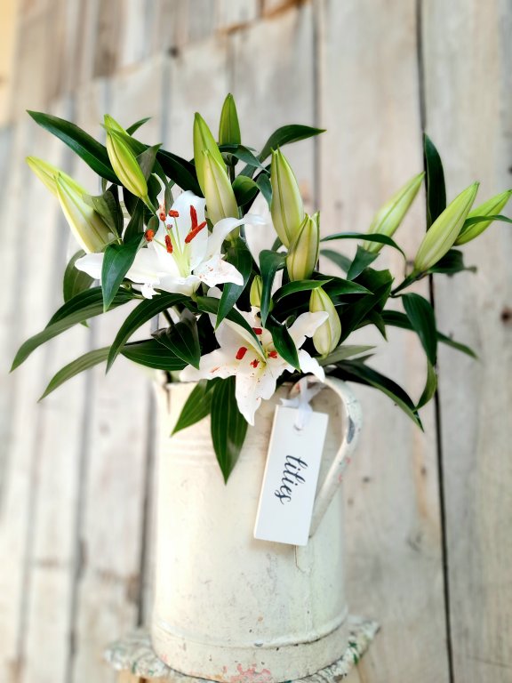 Painted Lilies Hanging Tag