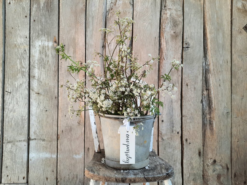 Painted Hanging Cow Parsley Tag