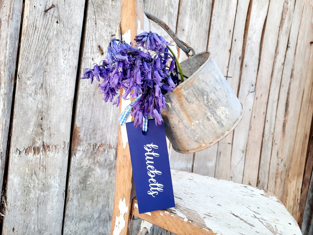 Painted Hanging Bluebells Tag