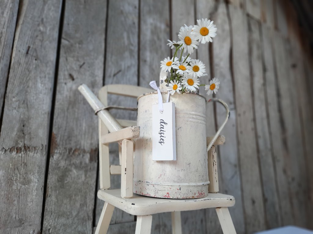 Painted Hanging Daisies Tag