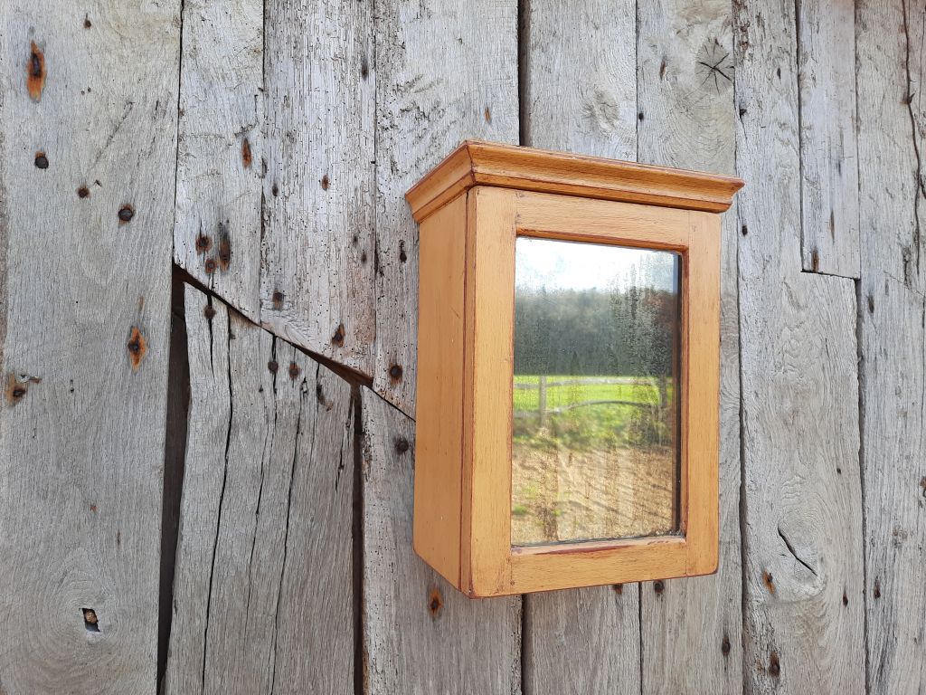 Painted Wooden Mirrored Cupboard
