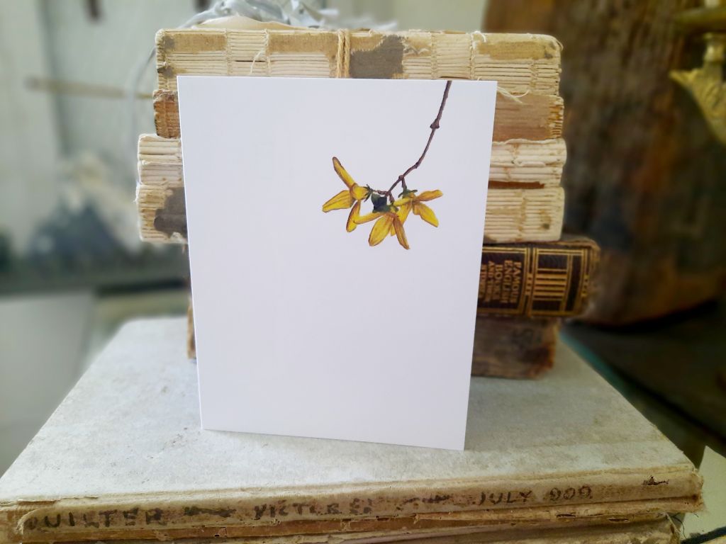 Forsythia Greeting Card